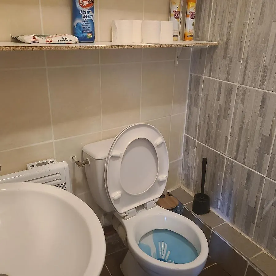 Apartment Appartement Pres Du Jardin Des Explorateurs Et De La Porte Cafarelli Brest