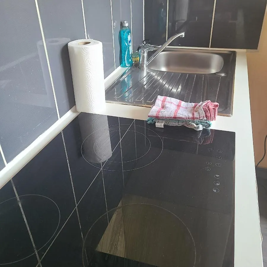 Appartement Pres Du Jardin Des Explorateurs Et De La Porte Cafarelli Brest 0*,